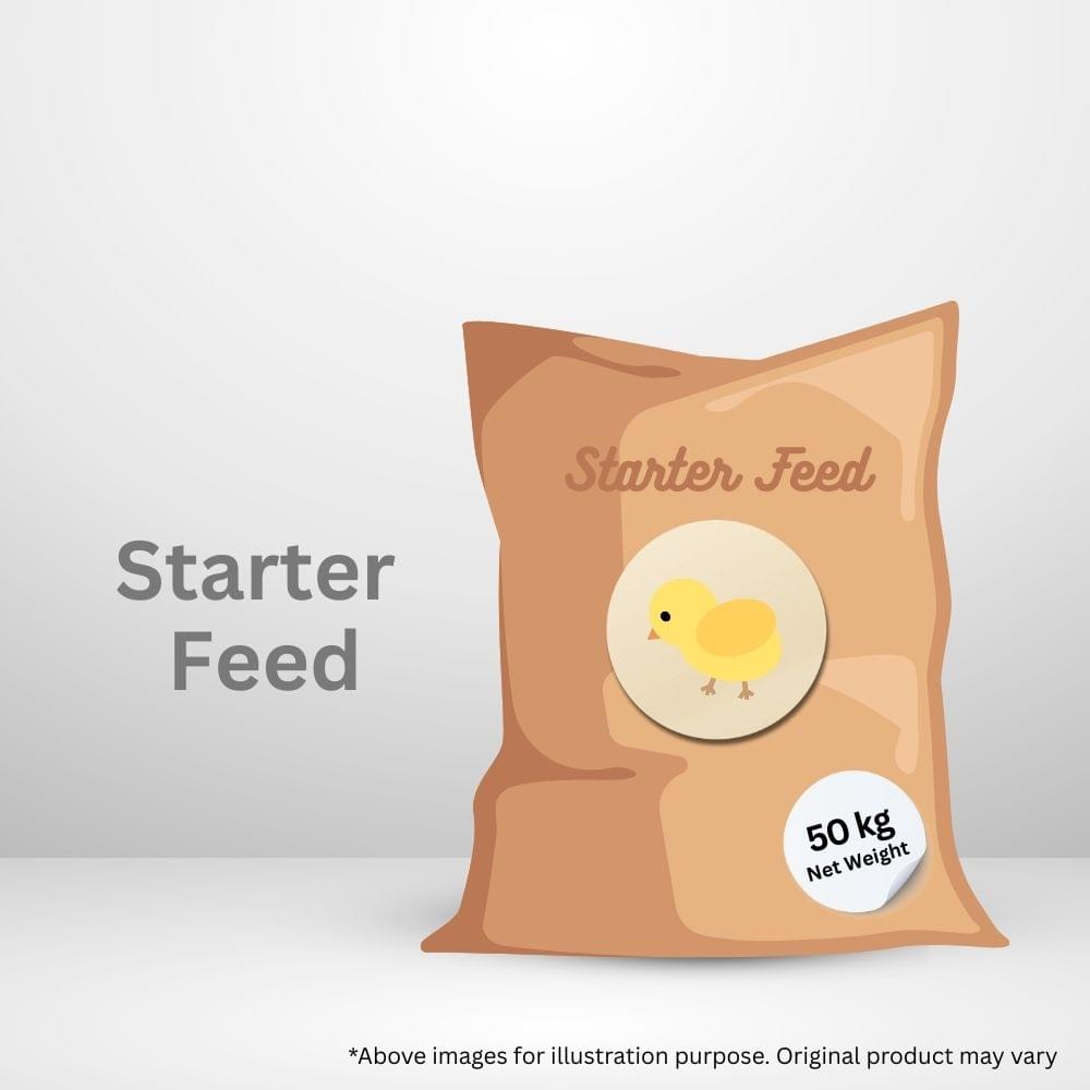 Poultry starter Feed