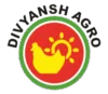 Divyansh Logo Transparent